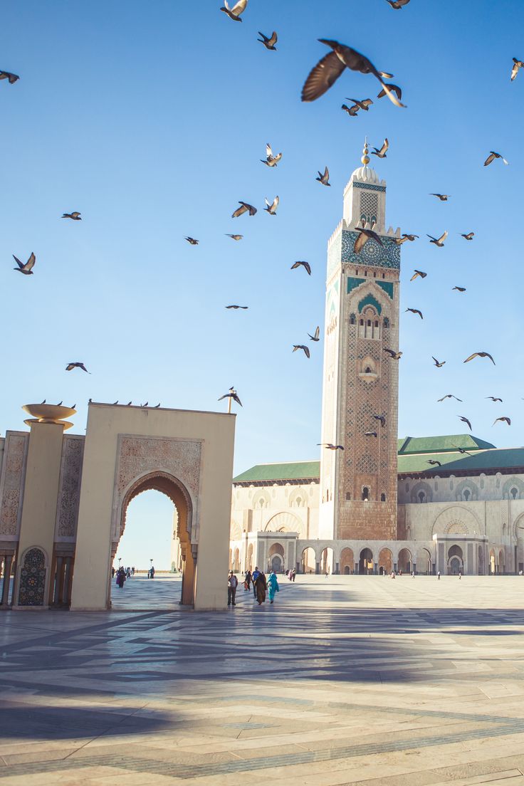 best morocco private , tours & authentic experiences