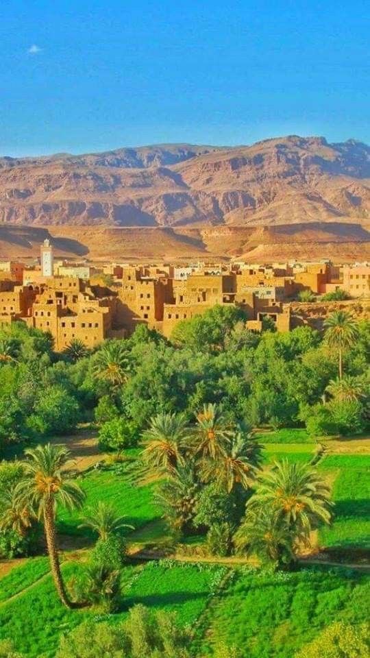 ANIF morocco