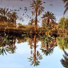 best 8-day tour from agadir to fes