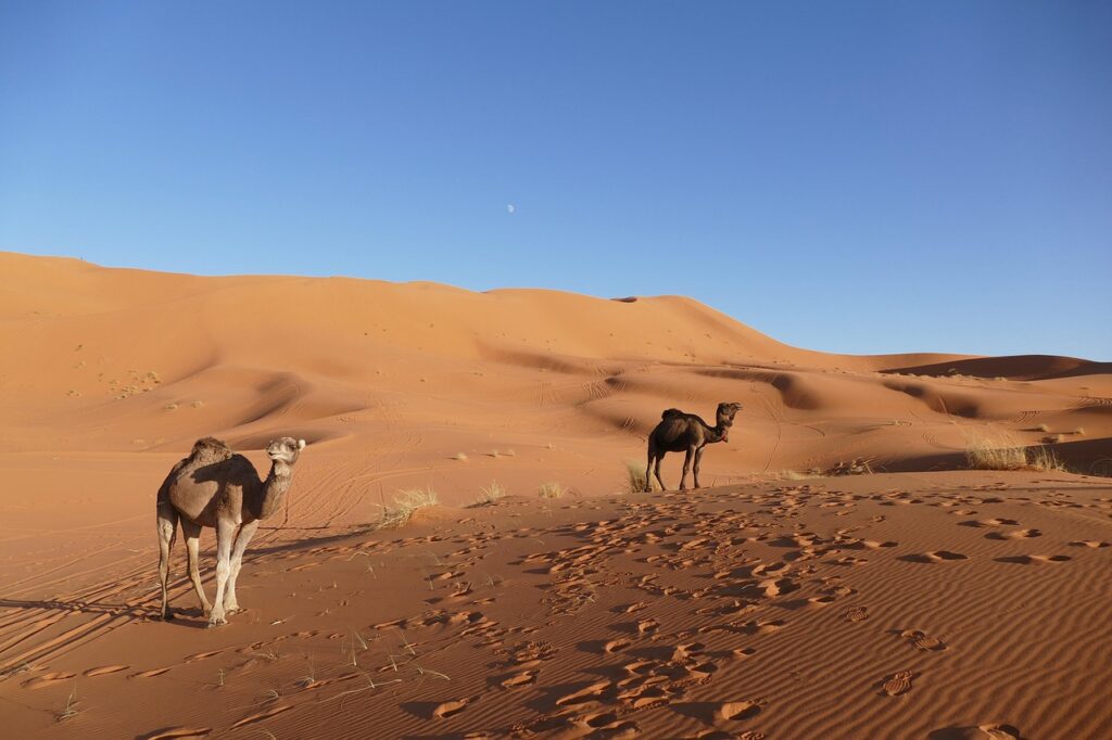 Morocco Rural Travel