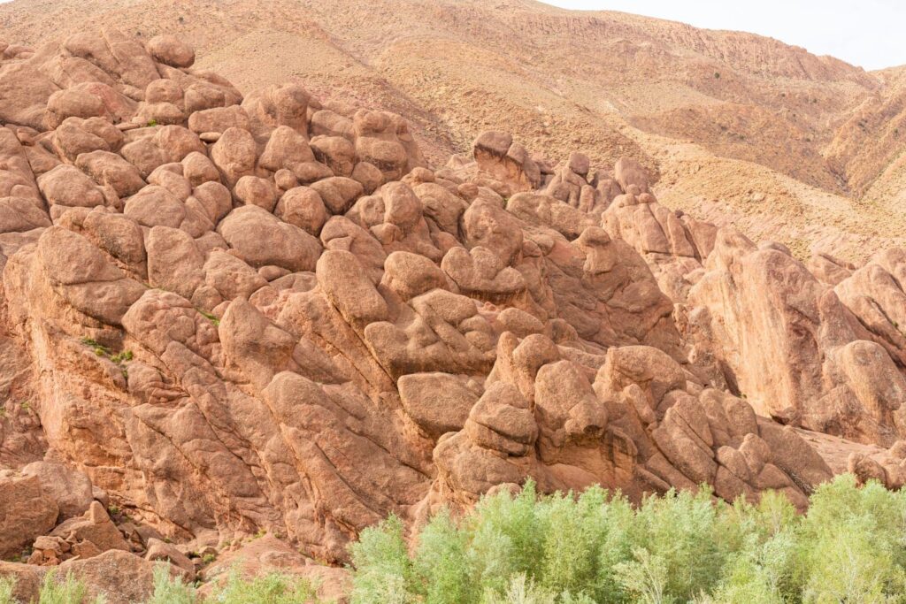 best tours from marrakech