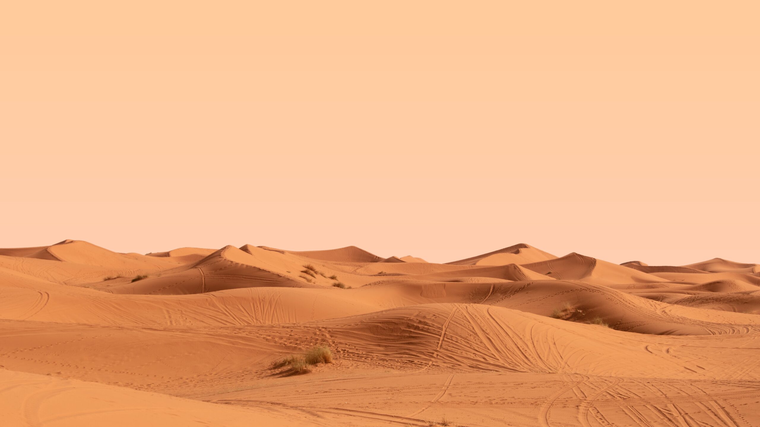 desert 4988800 scaled