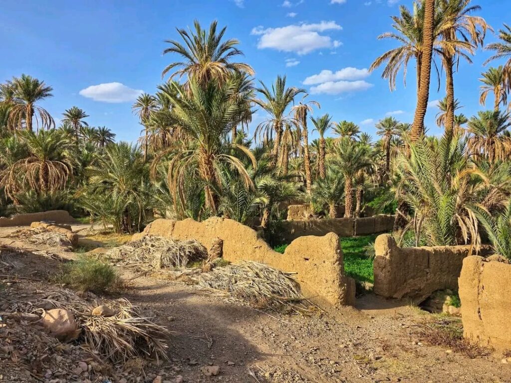 IMG 20250412 WA0001 1