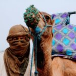 morocco student tours 2026