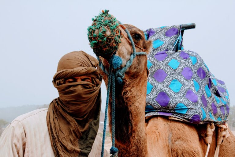 morocco student tours 2026