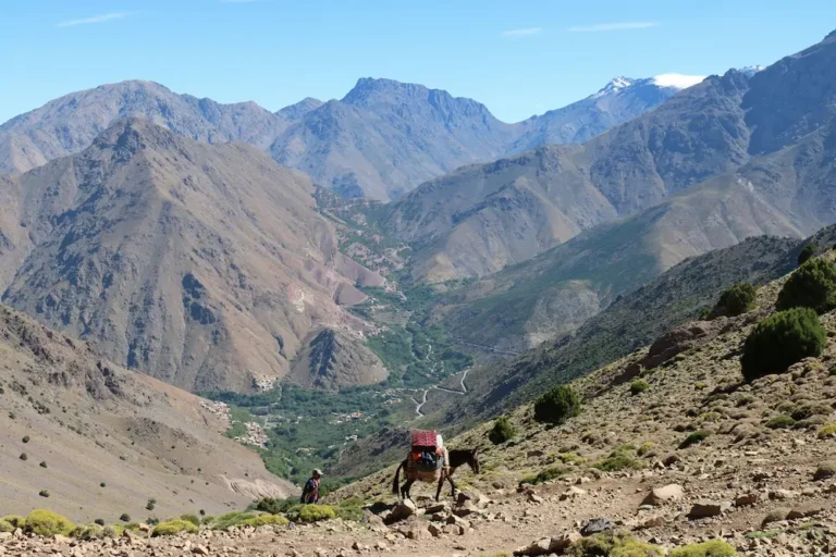 Private Atlas Mountain Tour from Marrakech