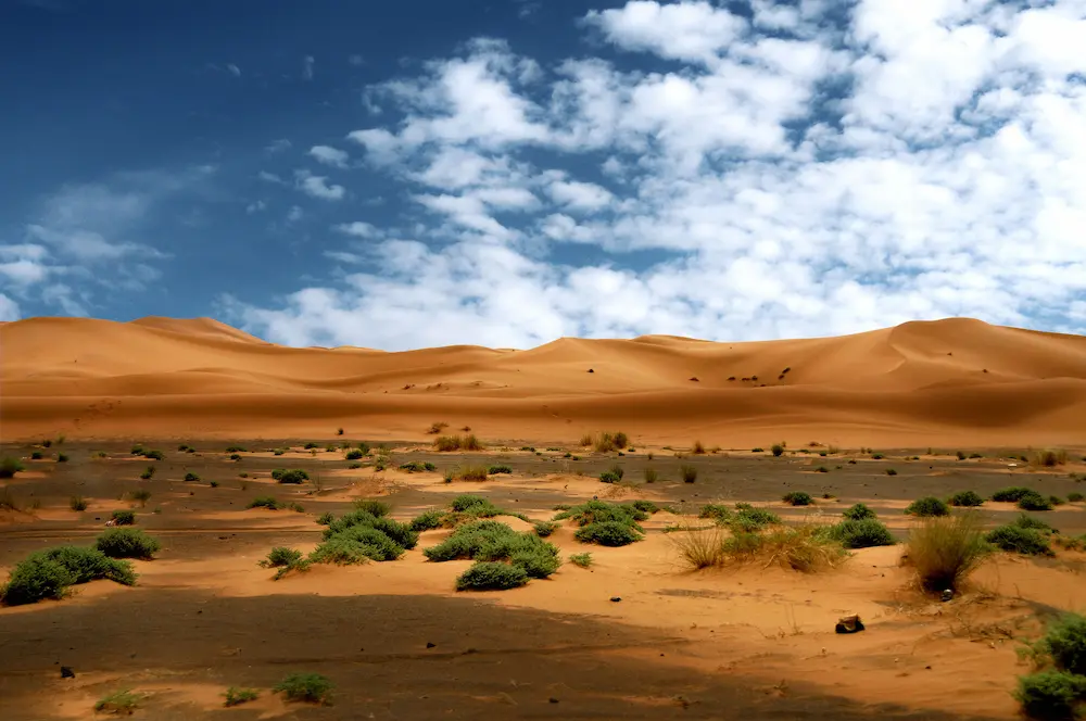 ultimate 3 days from fes to marrakech