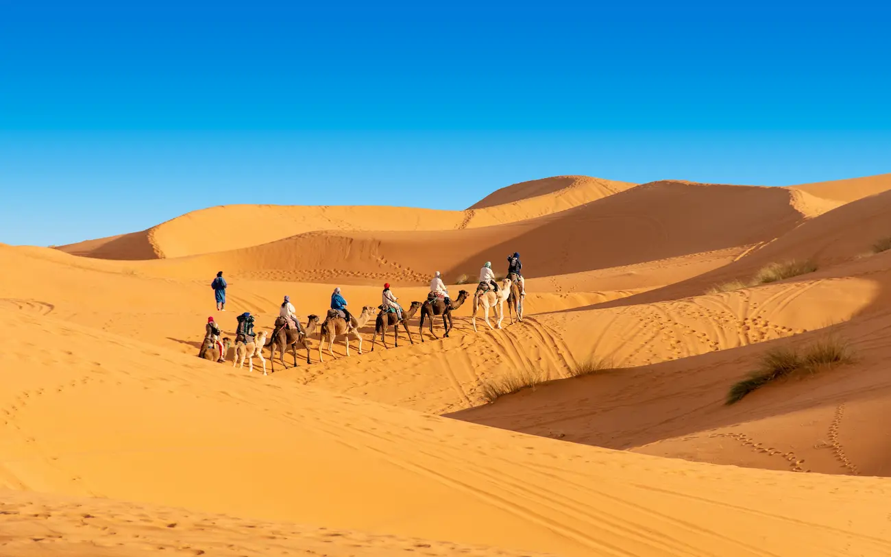 camel ride sahara desert morocco