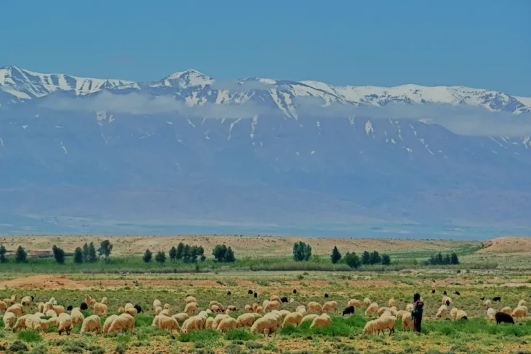 Best Atlas Mountains Hiking Excursions