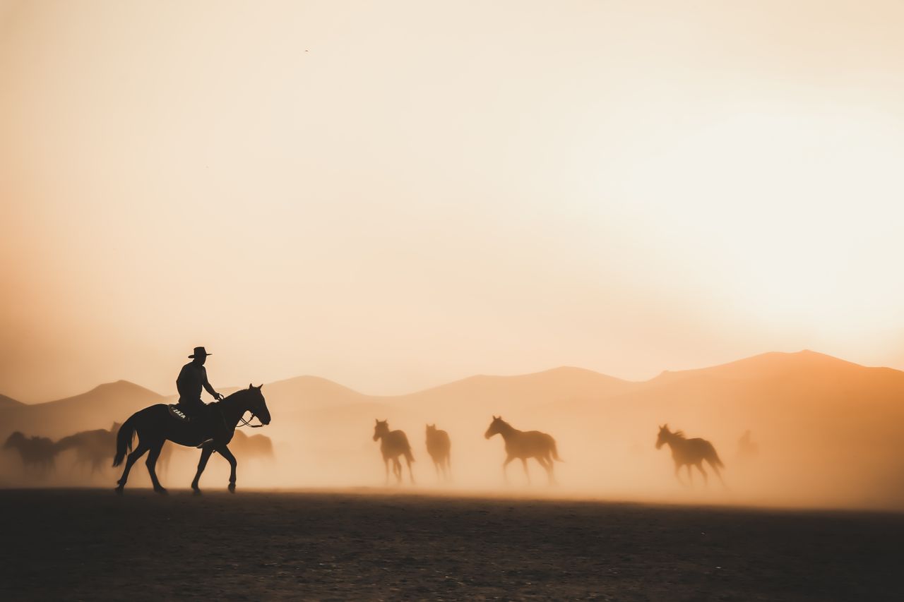 Best Merzouga Horseback Riding