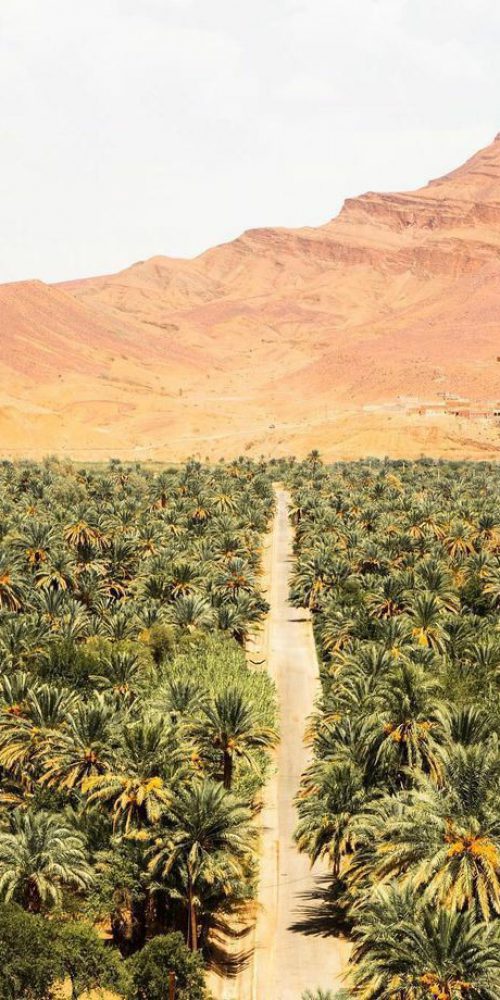 Ait Ben Haddou